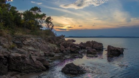 Проектът Black Sea MAP разкри редки находки на морското дъно