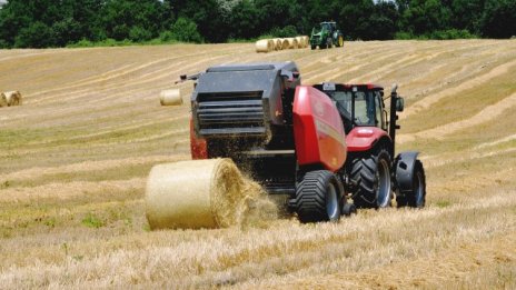 Едва 15% от фирмите планират да наемат служители до края на годината