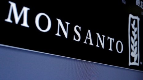 Bayer може да обяви поглъщането на Monsanto преди края на деня