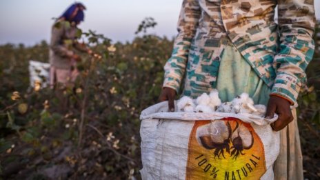 385 млн. фермери се разболяват заради пестициди всяка година