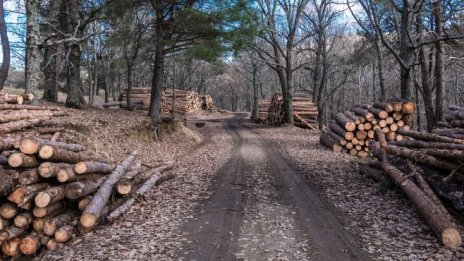 „Свилоза” спря работа заради недостиг на суровина, заяви Красимир Дачев