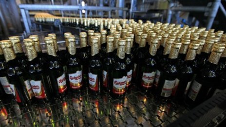 AB InBev очаква ръст на продажбите на бира около Световното първенство по футбол