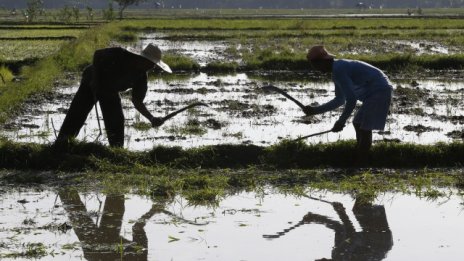 Културата създава културата