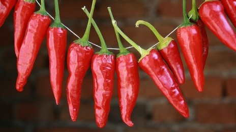 Над 2200 договора за еврофинансиране са подписали фермерите през 2017 година