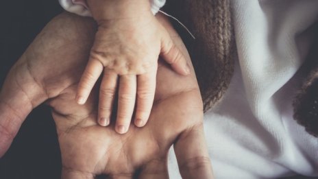 Бизнесът вече прилага политики за привличане на млади родители