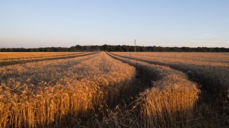 Кадър на деня за 15 юли