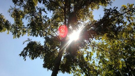 Енергийните пазари във Великобритания са на тръни заради жегата