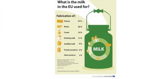 Какво се случва с произведеното в ЕС мляко?