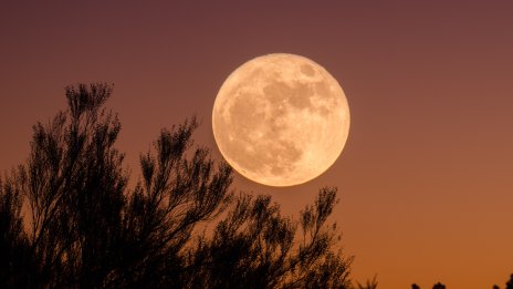 Prada каца на Луната с новите скафандри на НАСА