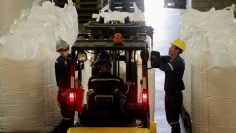 ОИСР вижда много рискове за глобалната икономика