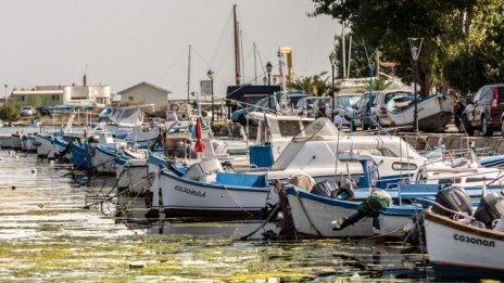 Договорени са проекти за 64% от бюджета на рибарската програма