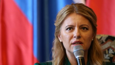 Президентът на Словакия: Вишеградската група трябва да брани върховенството на закона