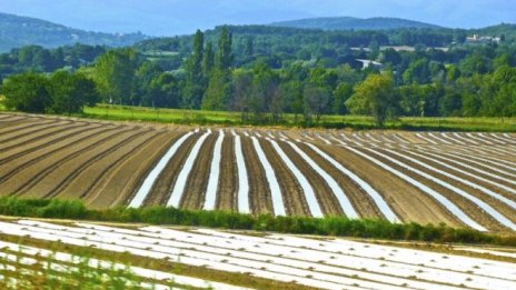 „Зенит имоти“ ще продаде всичките си земи