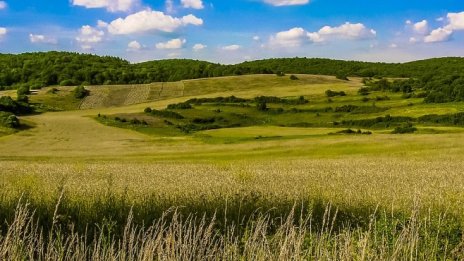 Калифорния включва глифозата в списъка с предизвикващи рак вещества