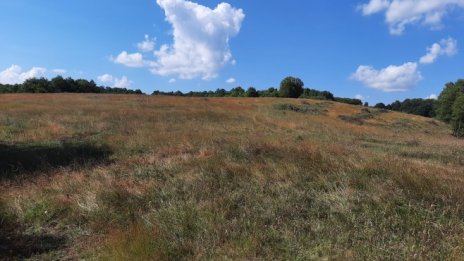 "Агрия груп холдинг" със 170% ръст на консолидираната печалба до 7,6 млн. лв.