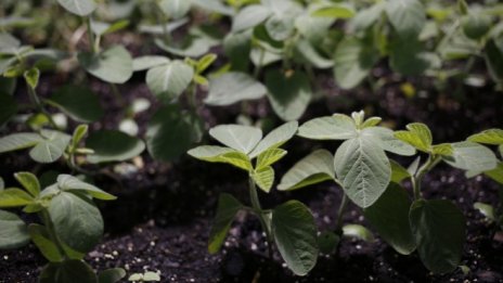 Реформата в ОСП започва с добри намерения и завършва с битка за пари