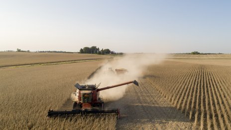 Фокусът на САЩ върху биогоривата може да детронира царевицата като краля на културите