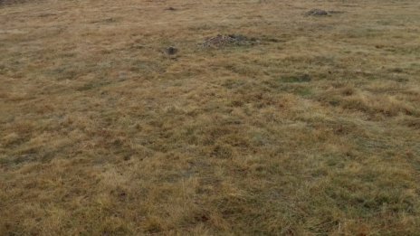 Вяло начало на годината за „Елана Агрокредит“