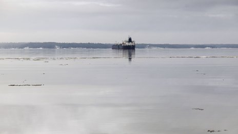 Пристанището в Новоросийск е възобновило товаренето на петрол