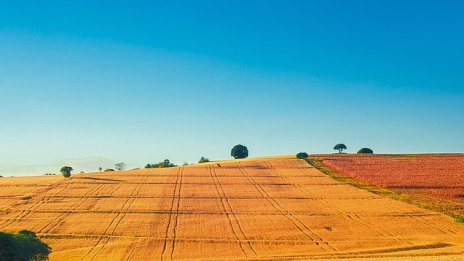 ЕБВР дава 90 млн. евро на звената на Louis Dreyfus в осем страни, в това число България