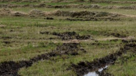 Между 2002 и 2018 г. земята в света е поскъпвала средно с 12% на година