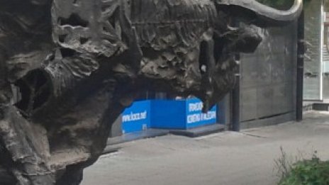 Инвеститор с 38% доходност на БФБ през 2015 планира да насочи парите в чужбина