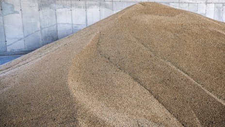 Китай е най-големият вносител на украинско зърно