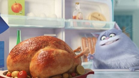 "Сами вкъщи" владее боксофиса в САЩ и Канада