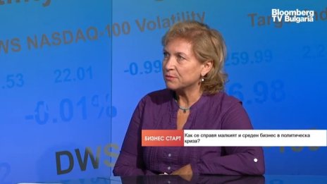 Експерт: Има системни проблеми в политиките, насочени към малкия бизнес