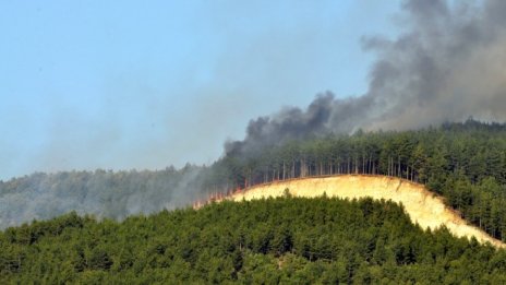 Пожари са унищожили над 20 хил. декара гори от началото на годината