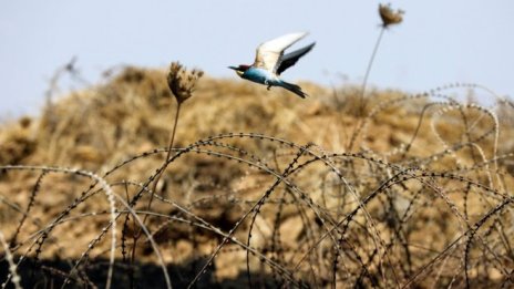 Николай Младенов: Ивицата Газа е на ръба на войната