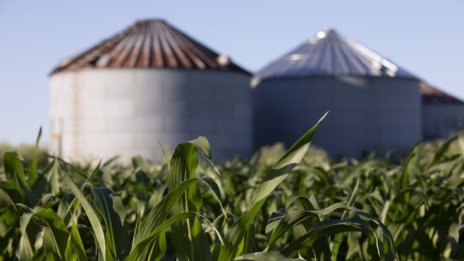 Как българските фермери ще намалят използваните торове заради Зелената сделка?