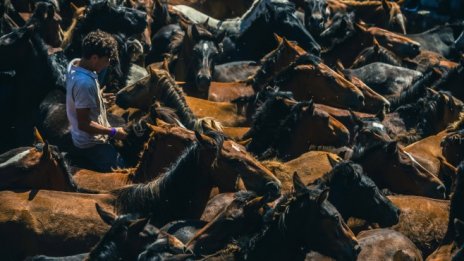 Кадър на деня за 4 юли