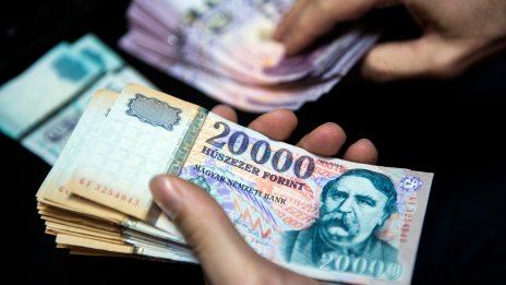 Залозите върху Източна Европа се отплащат: Форинтът и злотата поскъпват тази година