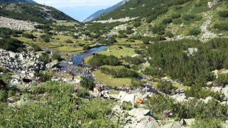 Българско издателство получи 305 хил. евро за популяризиране на НАТУРА 2000