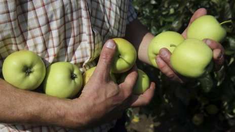 ЕК предоставя нови 70 млн. евро за фермерите, ударени от руските санкции