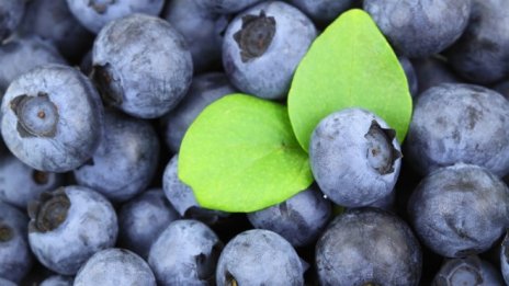 Нови европейски правила за органичните храни влизат в сила през 2020 г.