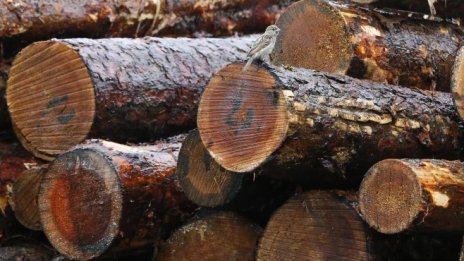 Предлагат месечната помощ за отопление да се повиши от 74,83 лв на 91,10 лв