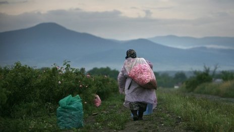 Бисер Петков: Еднодневните договори в земеделието изсветляват икономиката