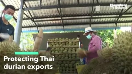 Тайландският дуриан за Китай е COVID-обезопасен