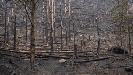 Кадър на деня за 27 юли