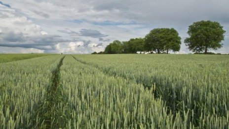 Според фермери предлаганите промени в закона за земите ще затруднят бизнеса