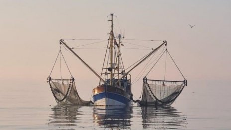 Как една публикация в Linkedin спаси риболовец от фалит