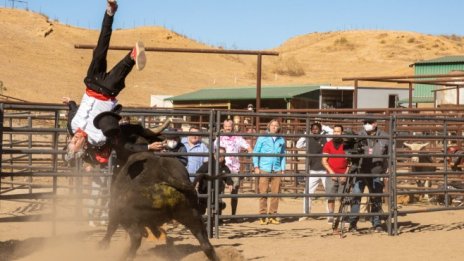 Новият Jackass детронира Спайдър-мен от челната позиция в щатския боксофис