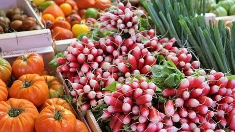 Със специални схеми ще се подпомагат биопроизводители, които не се класират за  ПРСР