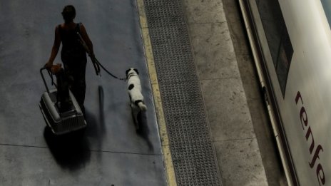 Стачка отмени близо 320 влака в Испания