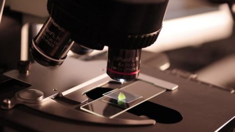 Нов закон ще насърчава частните инвестиции в наука