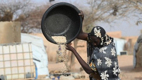 Устойчив ли е спадът в цените на хранителните продукти?