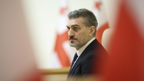 Как спортисти си проправиха път към високите етажи на властта в Грузия?