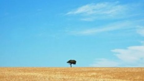 Хедж фондове „разграбват земя“ в Африка